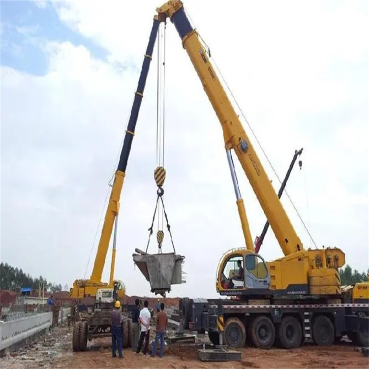 扶绥小型吊机出租电话|厂房设备吊装方案|24小时服务覆盖