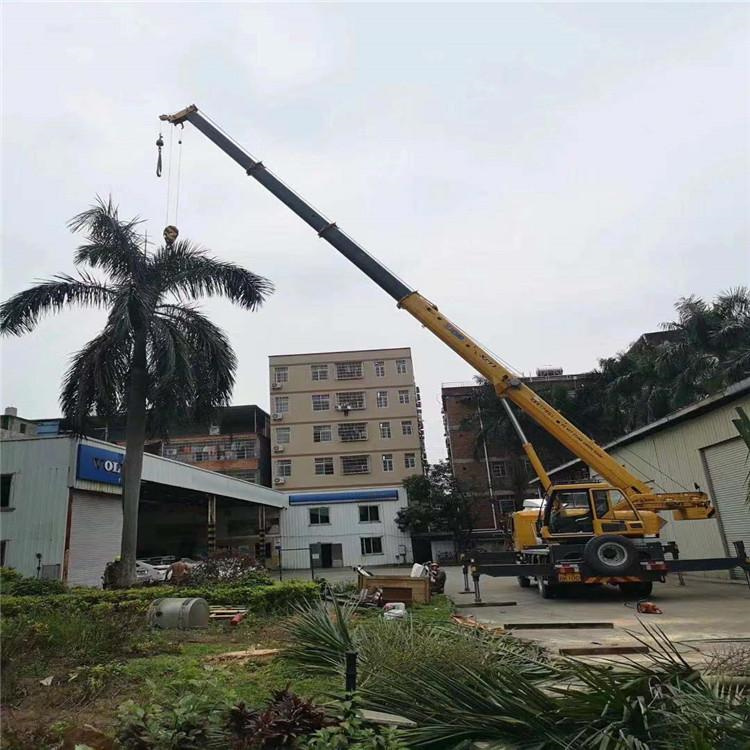 扶绥吊车吊大树几种方法